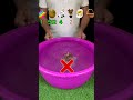 क्या यह गुड़िया पानी में टिशू पेपर पर तैर सकती है? #shorts #ytshorts #viral
