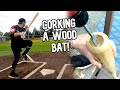 Hitting with a CORKED BAT | Wood Baseball Bat Reviews