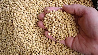 Celebrity Trump plans aid package for US soybean farmers Profile