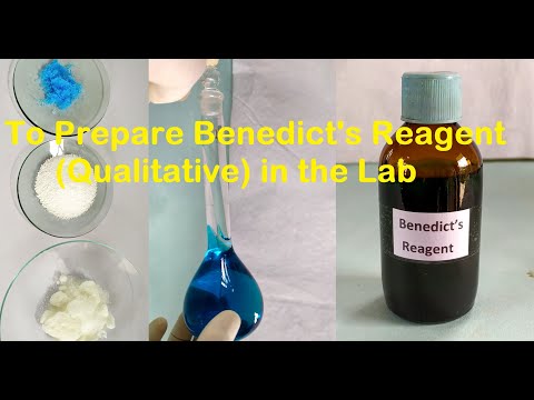 Benedict&rsquo;s Reagent Preparation