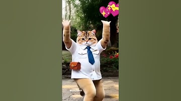 Thumbnail of #djremix #remix #dj #shortsviral #cat #cover #kucing #fyp viral #fypviral #fypage #kucingdance