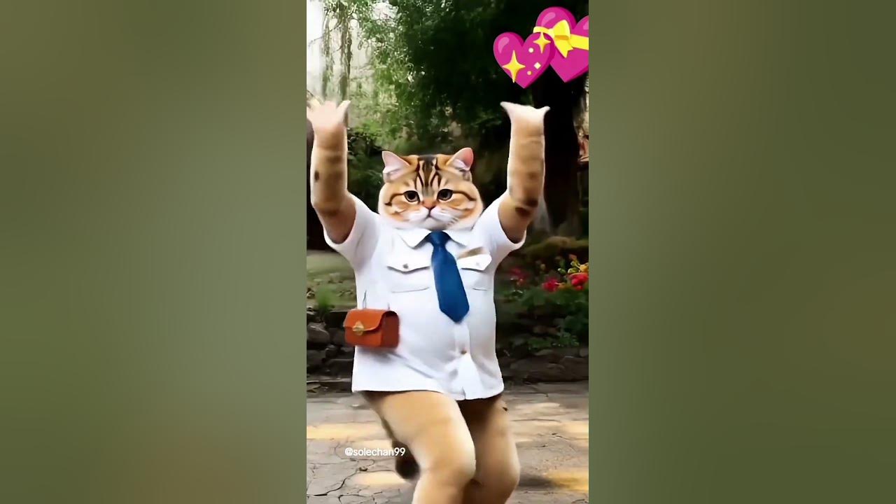 #djremix #remix #dj #shortsviral #cat #cover #kucing #fypシ゚viral #fypviralシ #fypage #kucingjoget