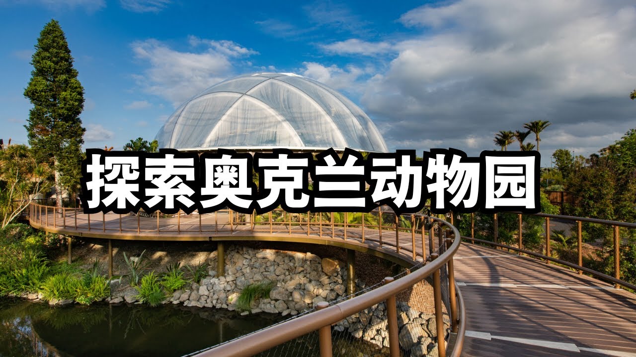 与众不同：探索奥克兰动物园 (从北到南，探索新西兰：20260201第36期）