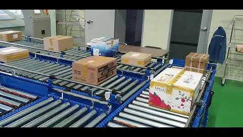 Intelligent Logistics ——Automatic Sorting Production Line#conveyor #sorting #automation#intelligent