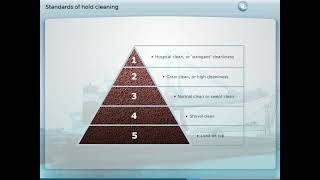 Preparation for Loading Bulk Carriers | Preparation Part 2