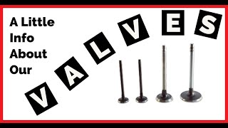 A Little Info About Our Valves