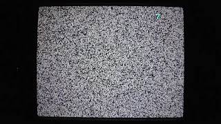 Белый шум (снег) старого телевизора с электронно-лучевой трубкой (длинная версия)