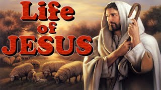 The Life Of Jesus: Animated Movie