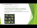 Preventing Pest Problems at Seeding