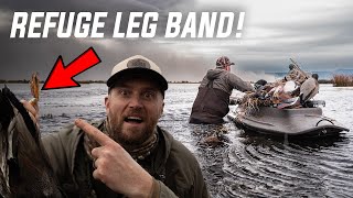 Solo KAYAK DUCK HUNT (Public Land Leg Band! 2023)