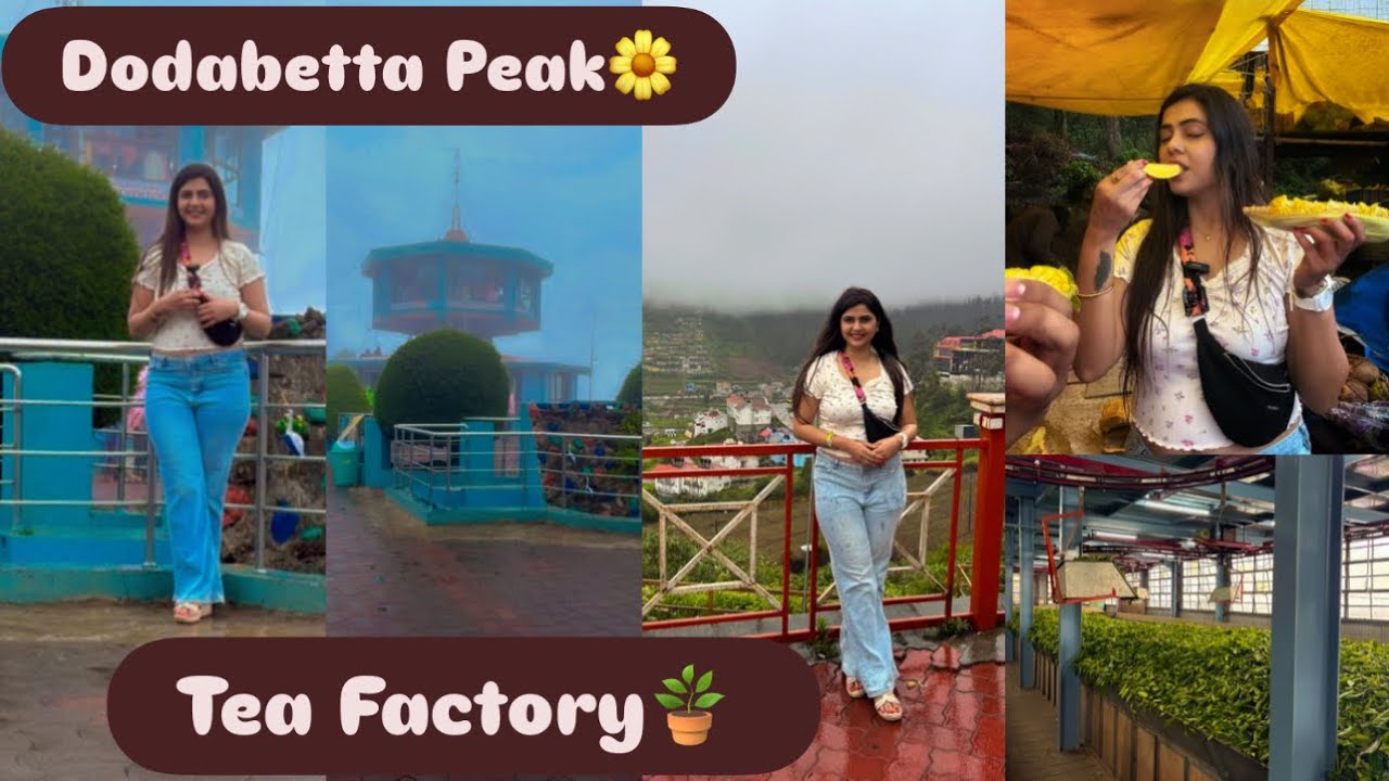 Adiyogi to Ooty..Dodabetta Peak/Tea Factory/Tea Making Process/Multiple tea packets/Jasmine perfume