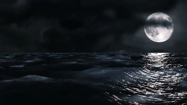 ["video"] - Fri, 12 Dec 2025 18:02:43 GMT