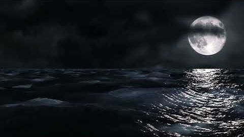 ["video"] - Fri, 12 Dec 2025 18:02:43 GMT