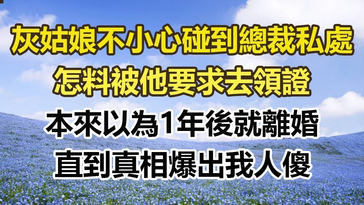 灰姑娘不小心碰到總裁私處，怎料被他要求去領證，本來以為1年後就離婚，直到這天他說出事情真相#幸福敲門 #為人處世 #生活經驗 #情感故事