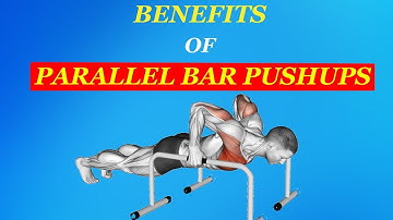 What Would  Happens to your body If you do Push-ups using Parallel Bars? || Parallel Bar Push ups ||