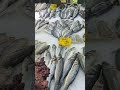 Рыбный рынок в Алании!