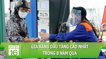 Giá xăng dầu tăng cao nhất trong 8 năm qua | VTC16