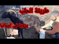 طريقة حلب الماعز والغنم يدويا في اسبانيا وتربية الدجاج البلدي milk goats