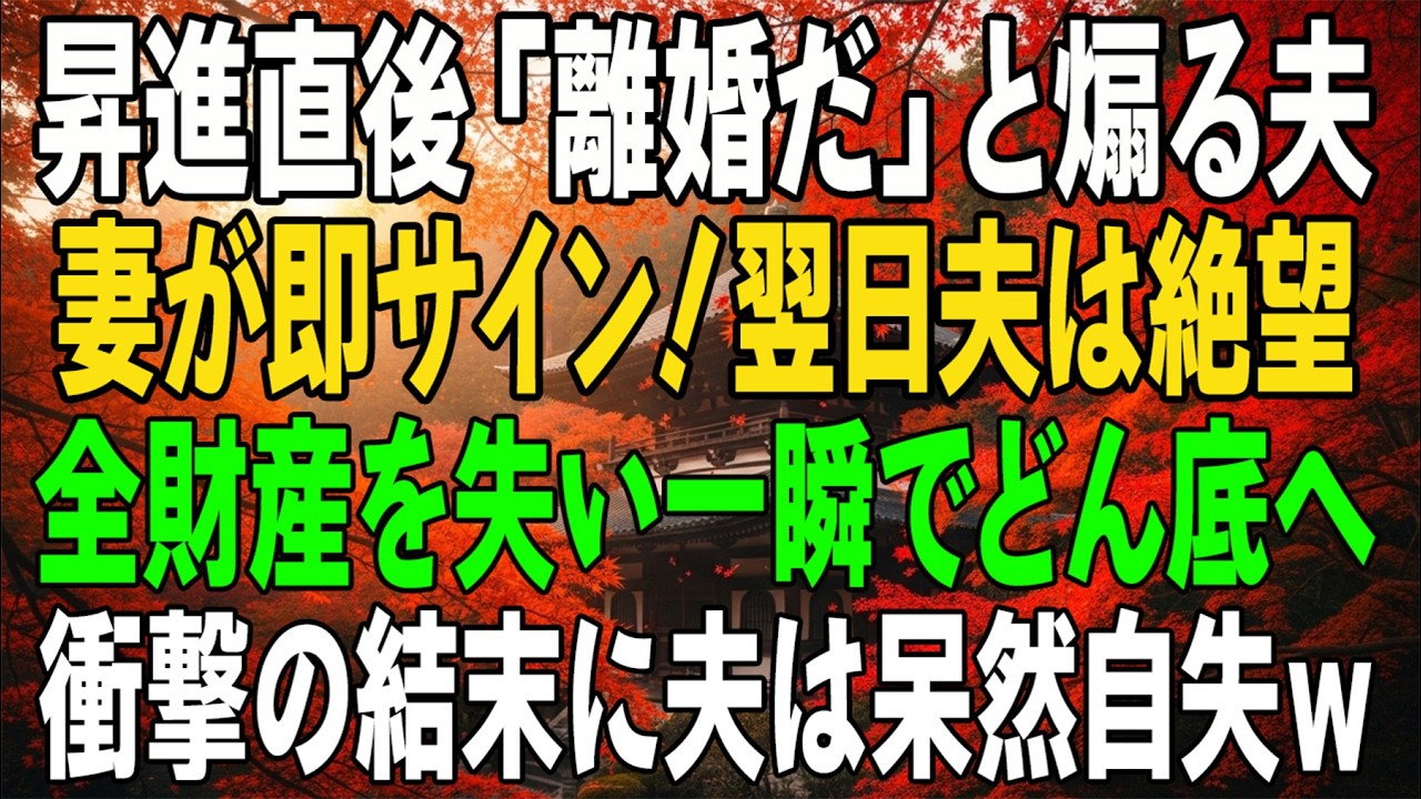 昇進直後に「離婚しろ」と挑発した夫。妻は即サイン。翌日、彼は全財産を失い呆然――