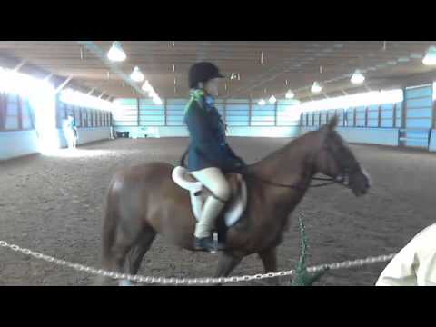 Springerle Stables Horse Show 2