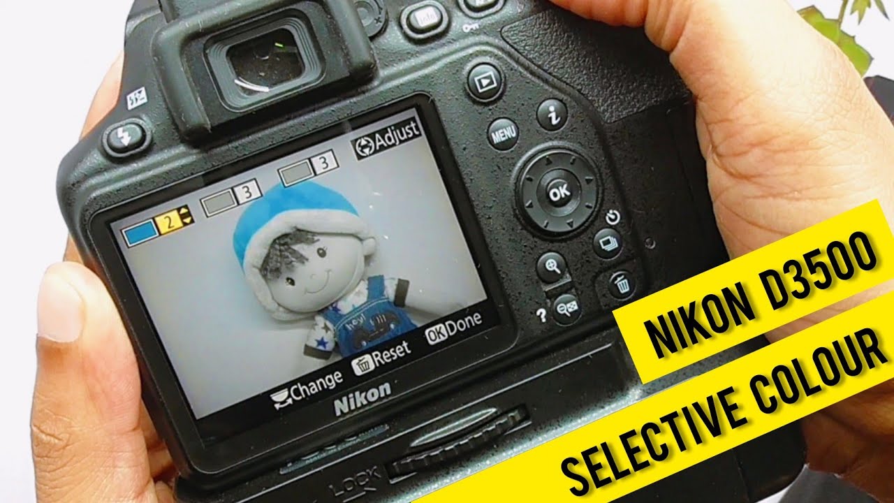 Nikon D3500 Selective Color photography tutorial
