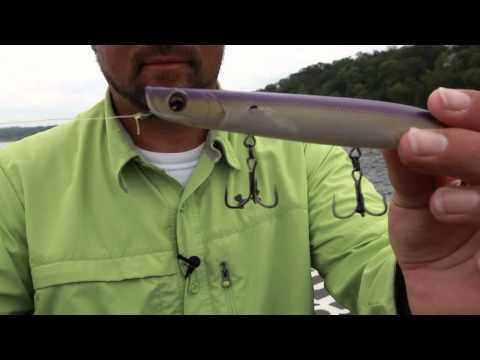 How to Fish Pencil Popper Topwater Baits for Big Bass 