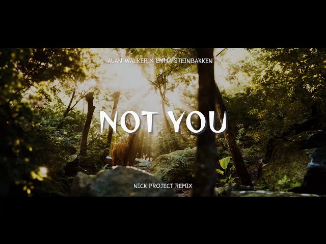 DJ Slow Remix !!! Alan Walker x Emma Steinbakken - NOT YOU (Nick Project Bootleg) class=