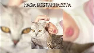 'Habbitak' Haga Mestakhabeya || Hamaki || Speed up ||#viral #arabicmusic