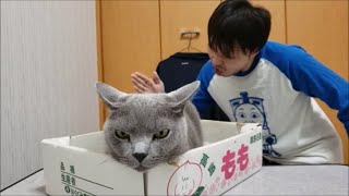 後ろのダンサーさんの華麗なオーラが凄すぎて、逆に直視できないでいる猫