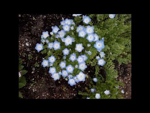 古内東子/誰よりも好きなのに/カラオケ/ルシアン公世