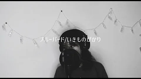 ブルーバード いきものがかり Arrange Ver ダズビー Cover Mp3