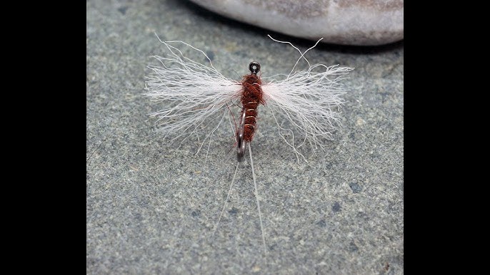 CDC Para-Spinner - Blue Ribbon Flies