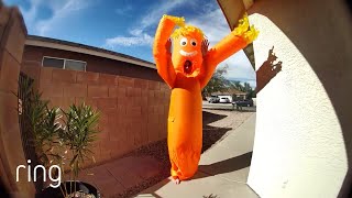 Brandi’s Inflatable Tube Man Halloween Costume Will Blow Your Mind｜RingTV screenshot 1