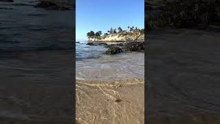 Famous Low Tide on the beach Santa Cruz CA Net Worth
