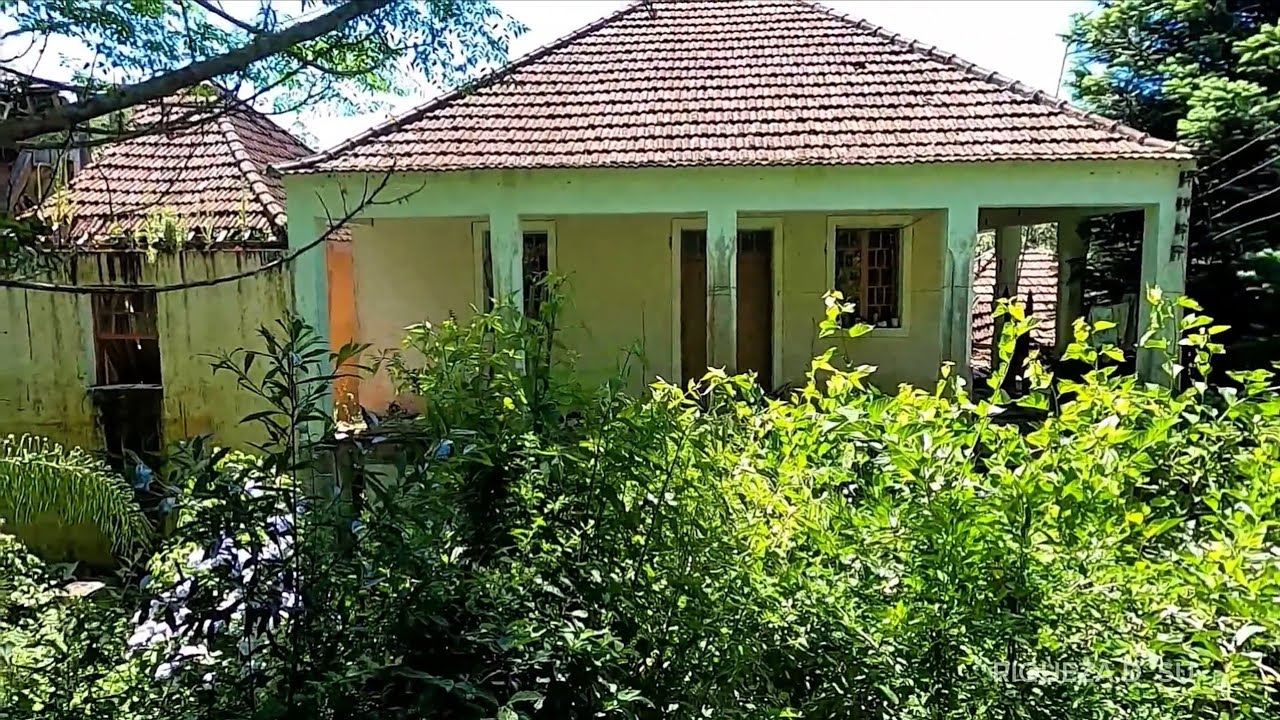 Shampoo roupas lindas perfumes e até os móveis e o carro tudo ficou dentro 