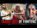 Terrible fate of fighters  shocking and tragic moments in mma and boxing  the dark side of mma