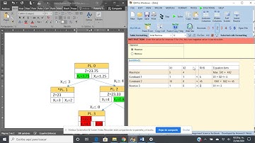Programacion entera por el método de ramificación y acotamiento