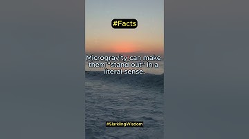 Growing Taller in Space: The Astounding Effects of Microgravity on Astronauts!