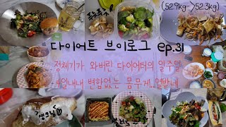|다이어트 브이로그|Diet vlog ep.31: 정체기가 와버린걸까? 일주일 내내 유지만하는 다이어터. 정체기 극복해보자!