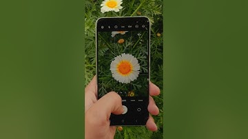 Samsung S23 in 2025 :Camera test