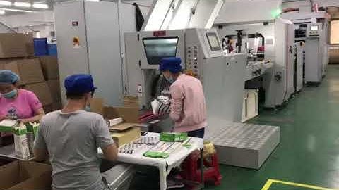 Flat Bottom Paper Bag Machine inline Flexo Printing Machine