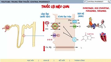 Dược lý các thuốc lợi tiểu nhanh gọn dễ hiểu nhớ lâu