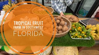 🌴TROPICAL FRUIT FARM in Southwest Florida! #fruit #tropicalfruit #fruitarian
