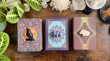 Their ACTIONS VS Their TRUE FEELINGS 🐦‍⬛🐻🦛 Pick a Card TIMELESS Reading 🦛🐻🐦‍⬛
