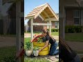 DIY Wishing Well Flower Planter | Stunning Tire Garden Transformation 🌿✨