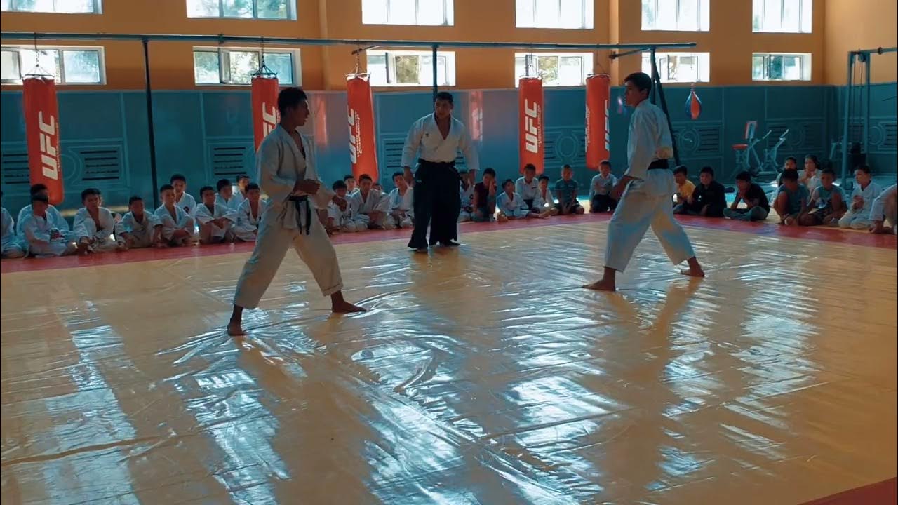 ITKF Karate do