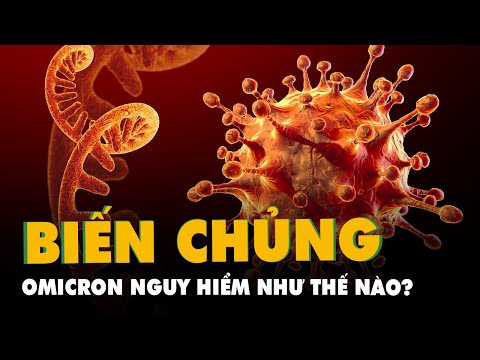 Biến chủng Omicron nguy hiểm như thế nào mà cả thế giới lo ngại?