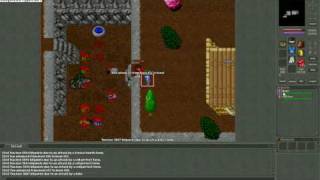 TIBIA DBZ