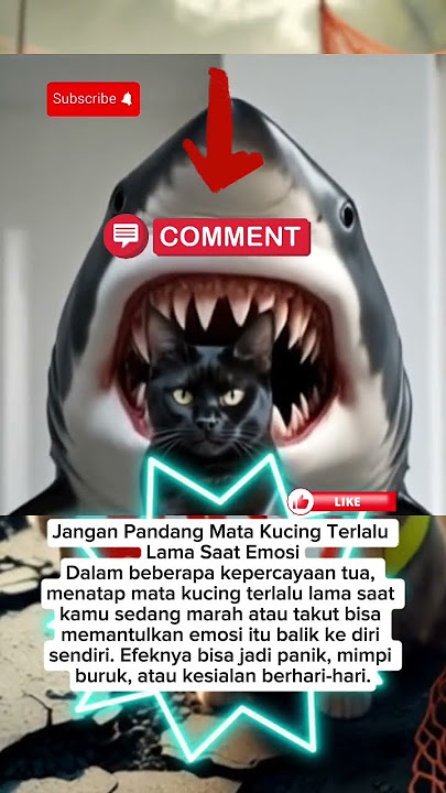 Jangan Tatap Mata Kucing Saat Marah! #fyiindonesia​ #shortsfakta​ #belajarcepat​ #infomenarik​