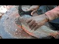 Rup chanda fish cutting skills l lady fish cutting skills l fastest fish cutting skills